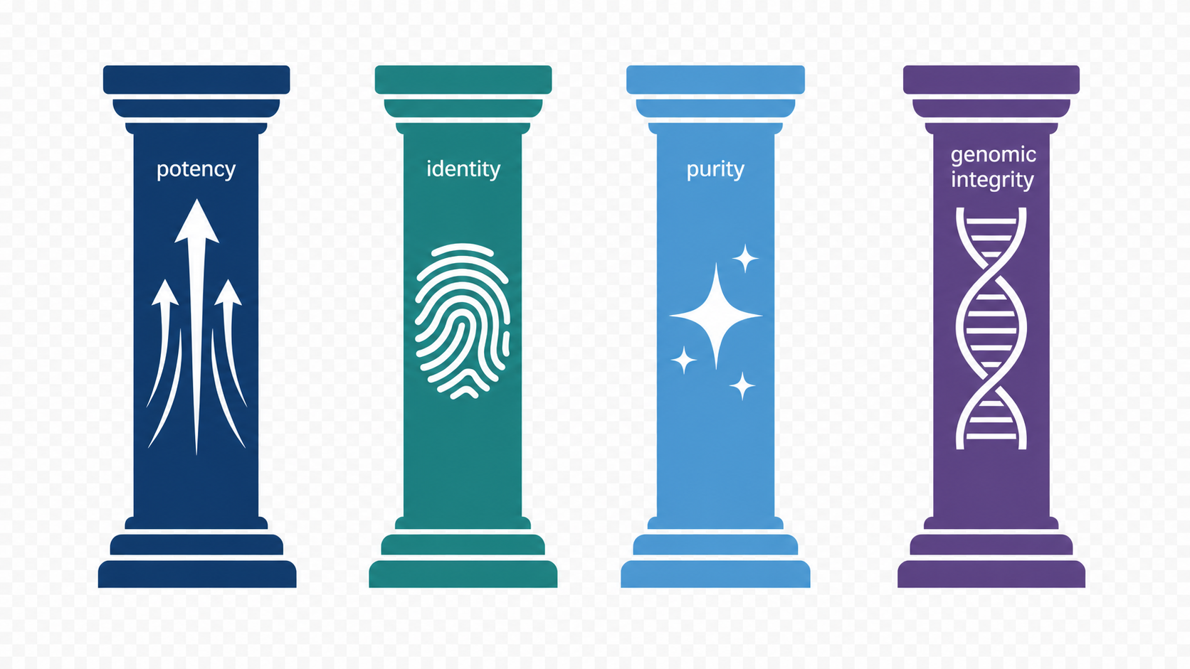 Genomic Integrity: The Fourth Pillar of Quality in Cell and Gene Therapy
