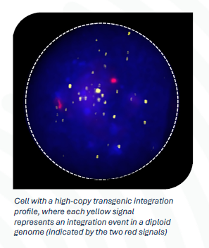 Press Release: KROMASURE PinPoint