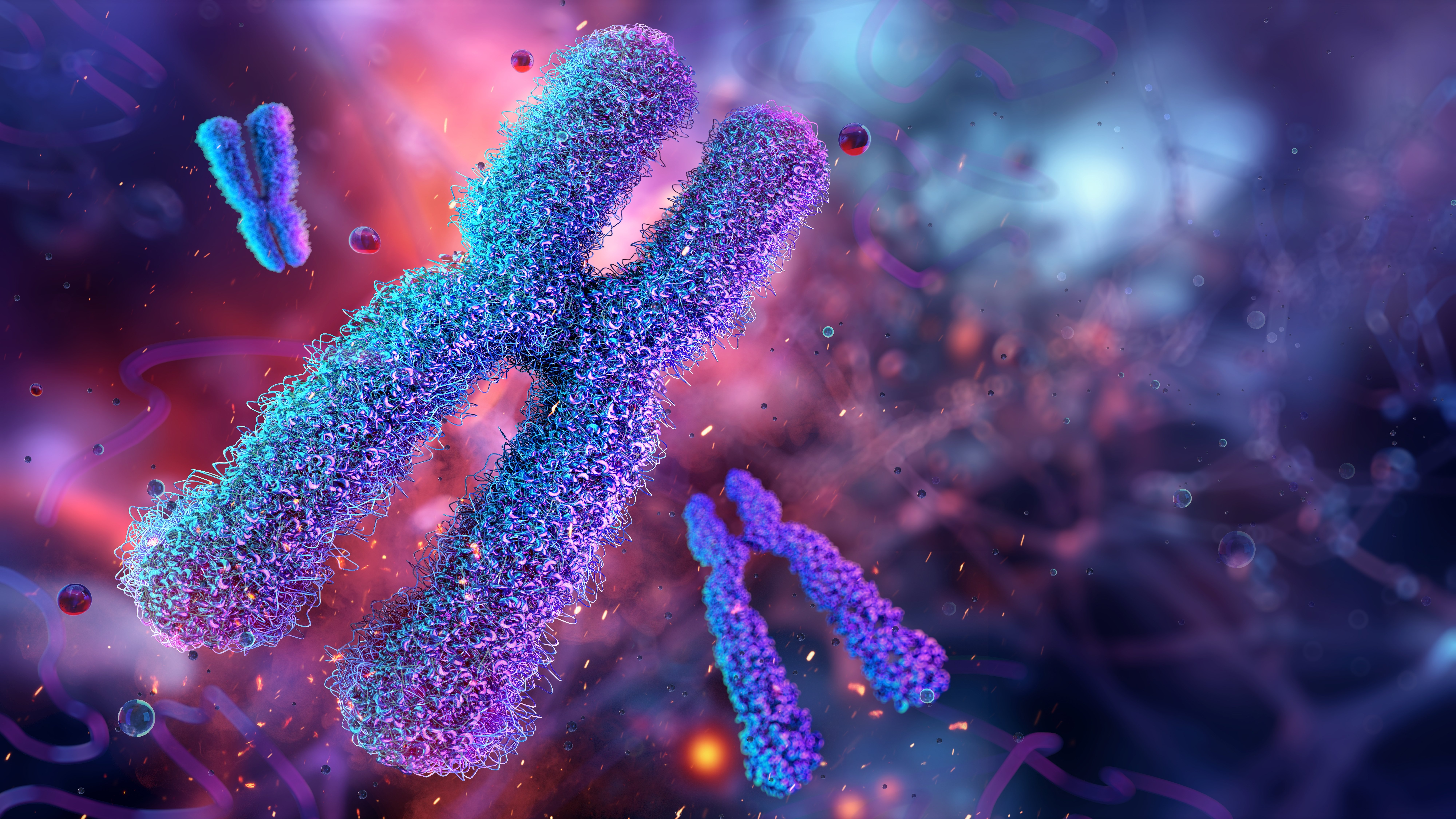 All HSCs Are Not Created Equal: The Importance of Testing Your Starting Material