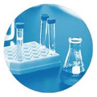 Cell Culture Services
