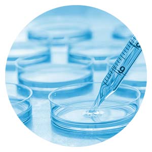 cell culture services